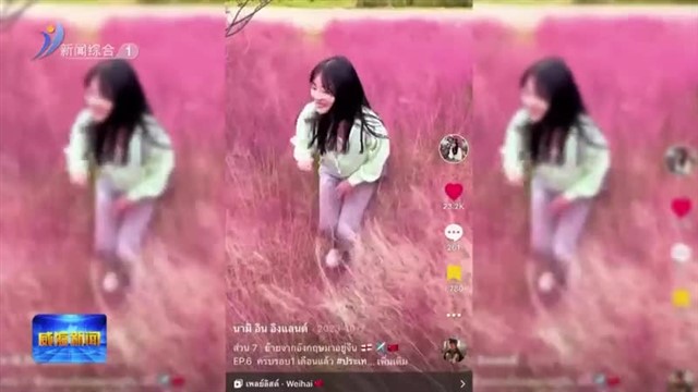 泰国姑娘“说”威海【威海广电讯】