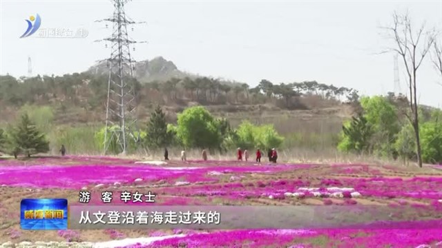 文登区界石镇构建“绿水青山就是金山银山”发展新格局【威海广电讯】