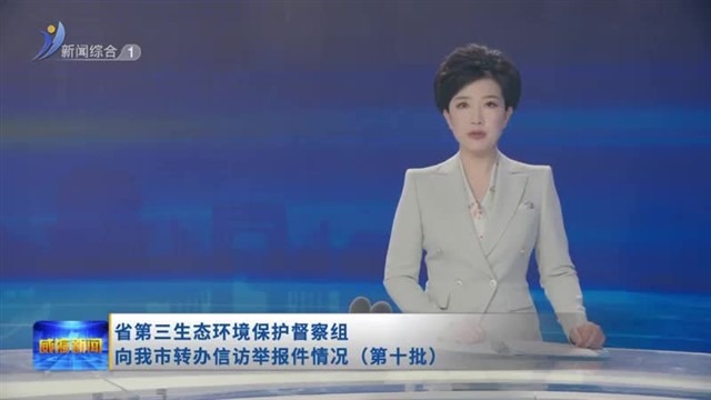 省第三生态环境保护督察组向我市转办信访举报件情况（第十批）【威海广电讯】