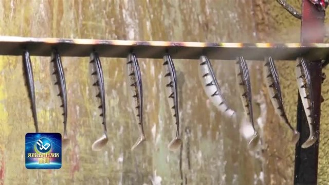 威悦体育用品：小鱼饵“钓”出大市场