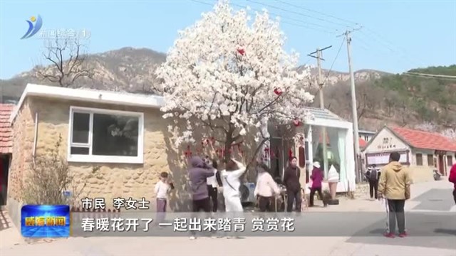 清明假期 近郊游 周边玩成出行主流【威海广电讯】