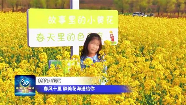 航拍开发区春风十里，醉美花海送给你