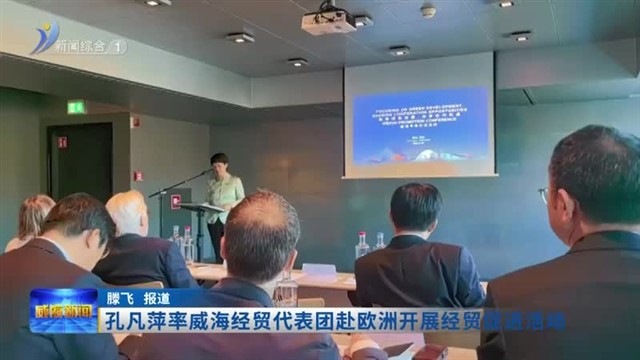 孔凡萍率威海经贸代表团赴欧洲开展经贸促进活动【威海广电讯】