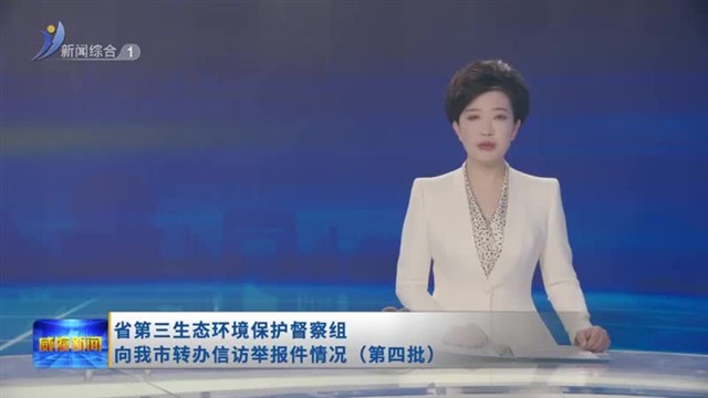【口播】省第三生态环境保护督察组向我市转办信访举报件情况（第四批）【威海广电讯】