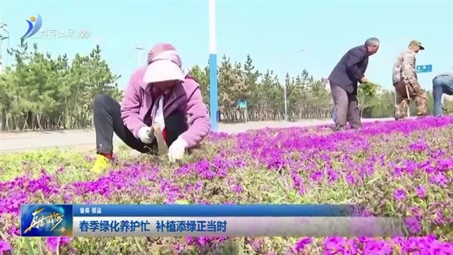 春季绿化养护忙 补植添绿正当时【威海广电讯】