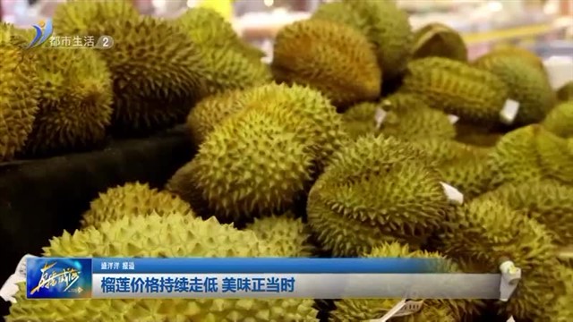 榴莲价格持续走低 美味正当时 【威海广电讯】