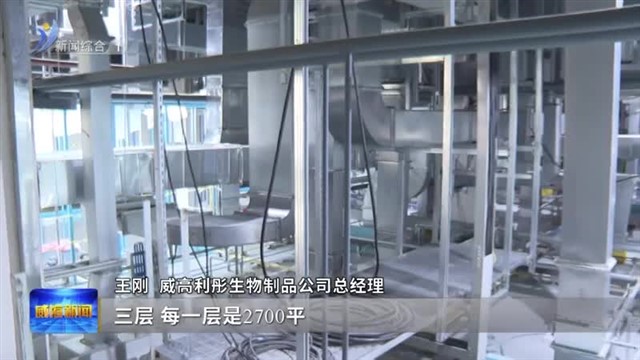 稳扎稳打有干头|威高利彤：疫苗崛起【威海广电讯】