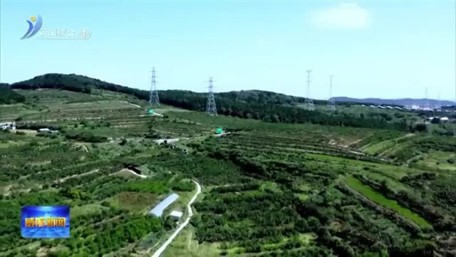 经开区：乡村振兴的新“蜜”诀【威海广电讯】