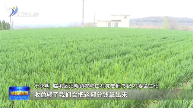 临港区：“一根针”穿起乡村治理“千条线”【威海广电讯】