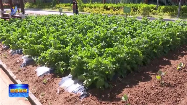 关爱“折翼天使” 助残同心同行【威海广电讯】