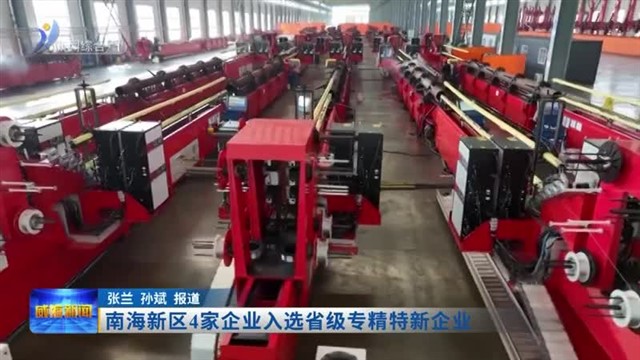 南海新区4家企业入选省级专精特新企业【威海广电讯】