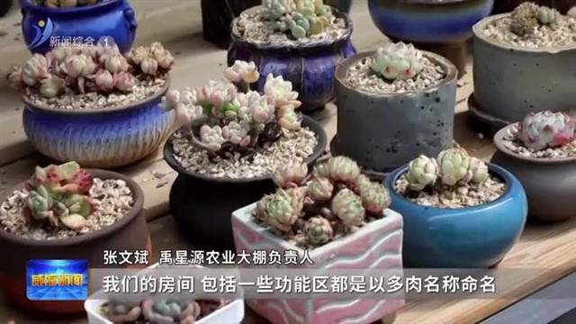 念好乡村振兴“特”字诀【威海广电讯】