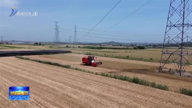 筑牢“耕”基 让每一寸农田成为丰收沃土 【威海广电讯】
