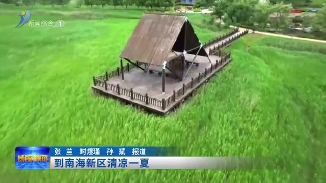 到南海新区清凉一夏【威海广电讯】