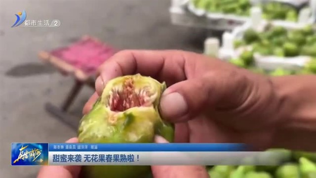 甜蜜来袭！无花果春果熟啦！【威海广电讯】