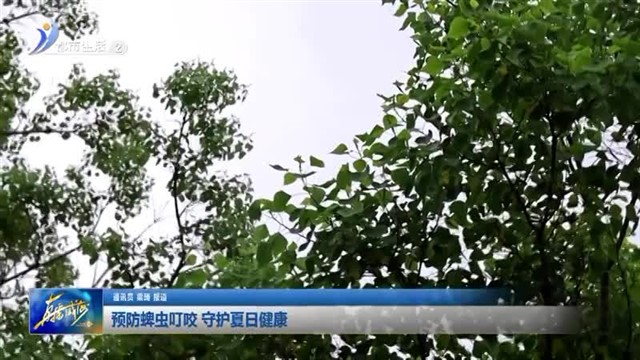 预防蜱虫叮咬 守护夏日健康【威海广电讯】