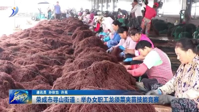 荣成市寻山街道：举办女职工龙须菜夹苗技能竞赛【威海广电讯】
