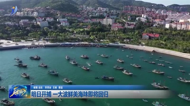 明日开捕 一大波鲜美海味即将回归【威海广电讯】