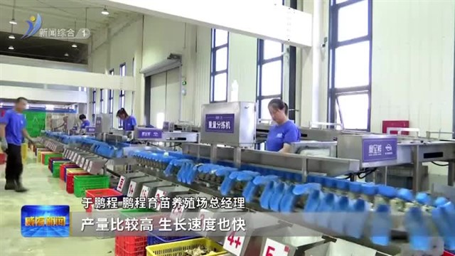 威海：特色农业激活乡村振兴一池春水【威海广电讯】