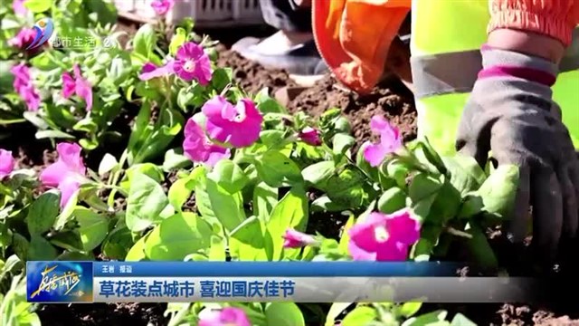 草花装点城市 喜迎国庆佳节【威海广电讯】