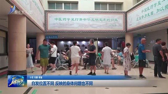 白发位置不同 反映的身体问题也不同 【威海广电讯】