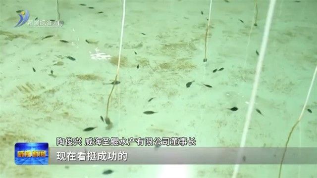 小鱼苗“孵”出大产业【威海广电讯】