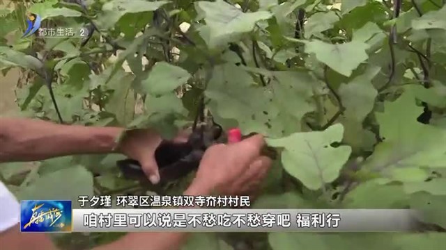 于夕瑾：我在小山村的幸福生活【威海广电讯】
