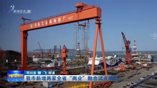 我市新增两家全省“两业”融合试点单位【威海广电讯】