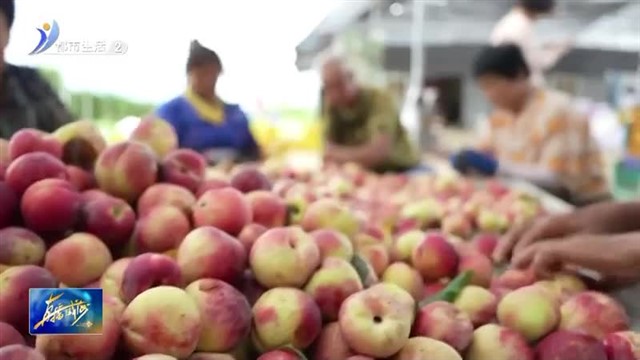 荣成：探索前行 蹚出共同富裕新路子【威海广电讯】