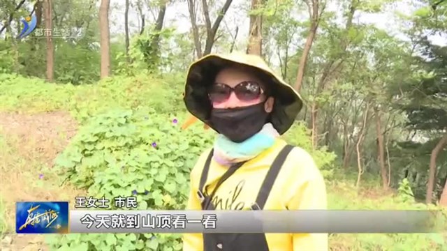 爬山登高 赏威海秋色【威海广电讯】