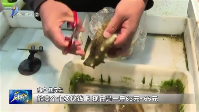 秋季食海参 滋补正当时【威海广电讯】
