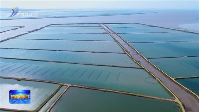 “掘金深蓝” 泽库镇打造现代营商环境服务新标杆【威海广电讯】