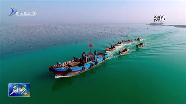 权威发布：《2023年威海市海洋生态预警监测公报》《2023年威海市海洋灾害公报》发布 【威海广电讯】