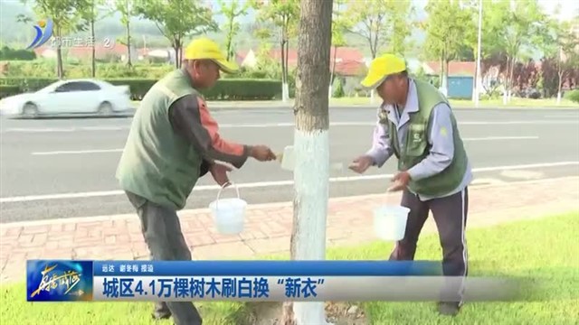 城区4.1万棵树木刷白换“新衣”【威海广电讯】