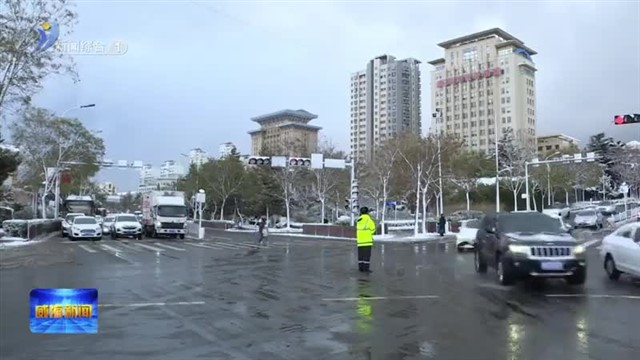 今冬第一场雪 “雪幕”下的“荧光绿” 【威海广电讯】