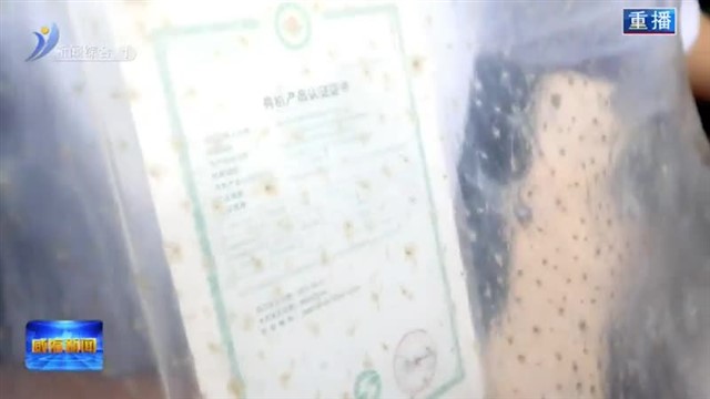 开捕啦！威海刺身抢“鲜”上岸 【威海广电讯】