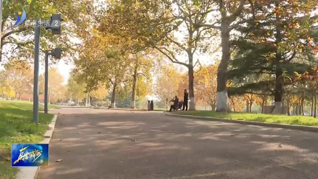 秋色已暮 打卡家门口的秋日美景【威海广电讯】