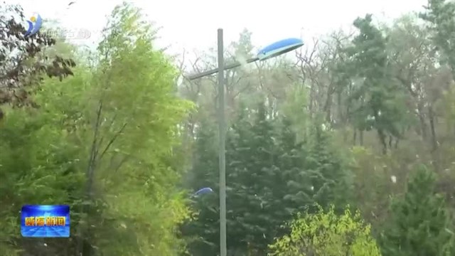 威海迎来今冬首场降雪【威海广电讯】