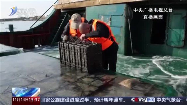 中央广播电视总台山东总站携手威海市新闻传媒中心推出系列直播节目《鲍鱼南下•海洋牧场转场记》【威海广电讯】