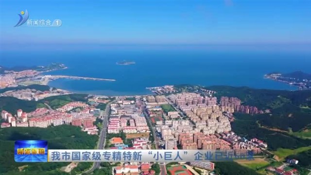 我市国家级专精特新 “小巨人”企业已近60家【威海广电讯】