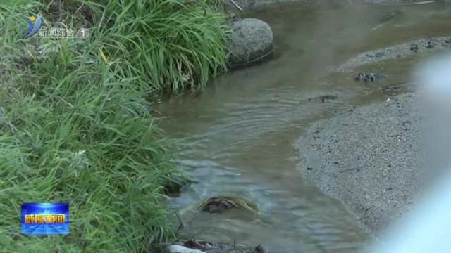 “小工程”关系“大民生【威海广电讯】