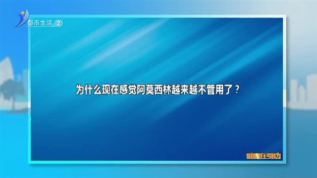 如何正确服用阿莫西林？【威海广电讯】