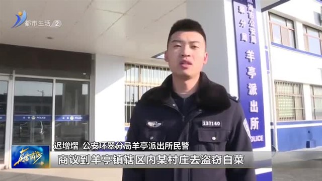 白菜虽小 偷一棵也犯法！【威海广电讯】