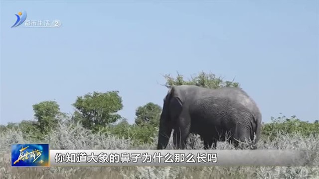 闪亮小主播：李沐辰【威海广电讯】