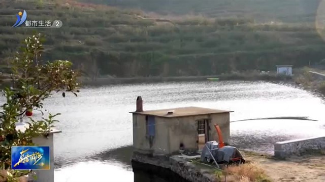 硕果盈满枝 掀起“丰收潮”【威海广电讯】