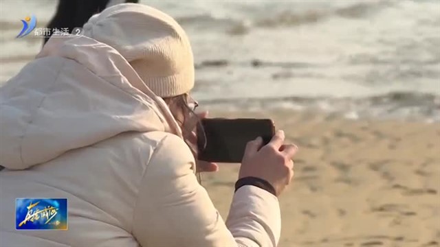 如约而至！观赏大天鹅不必走远【威海广电讯】