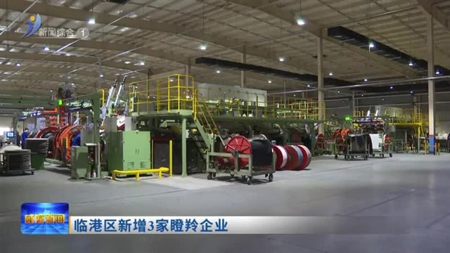 临港区新增3家瞪羚企业【威海广电讯】