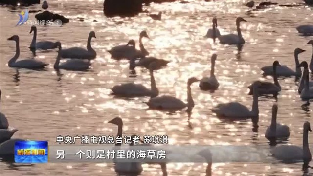 文化山东年味浓|食在威海：春节“逮饭”指南（二）【威海广电讯】