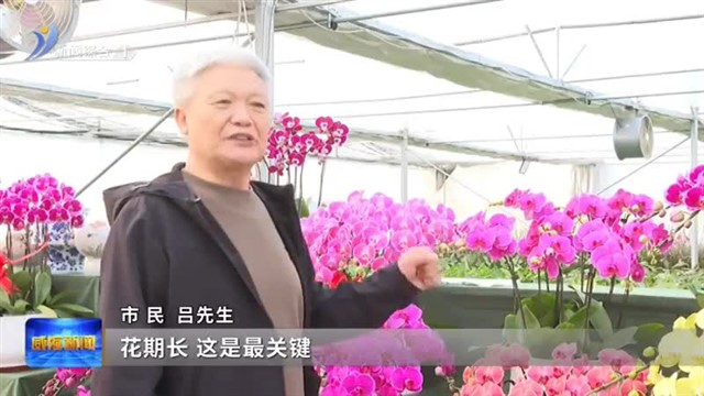 新春走基层|“花田”喜事多【威海广电讯】