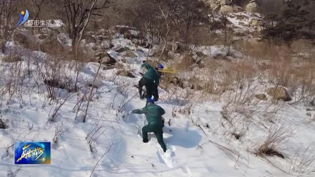 新春走基层  文登：昆嵛山上巡线人【威海广电讯】